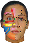 Facial Reflexology Sorensensistem