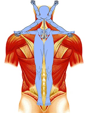 Tibetan Reflex Therapy - Cervical/Spinal
